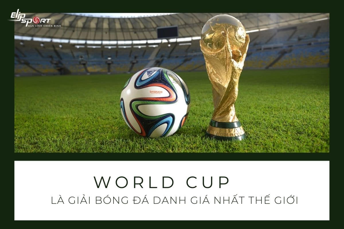 world-cup-dien-ra-khi-nao-world-cup-lan-dau-tien-duoc-to-chuc-o-dau